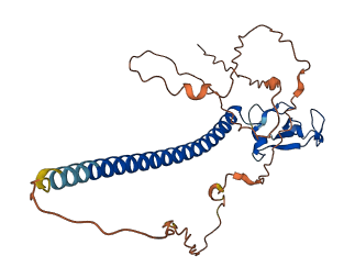 RNF212 3D structure