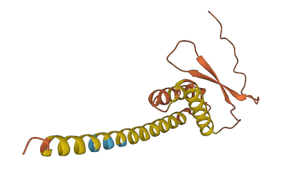 LINC01559 3D structure