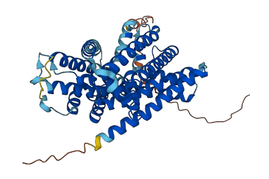 SLC36A2 3D structure