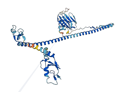 TRIM60 3D structure
