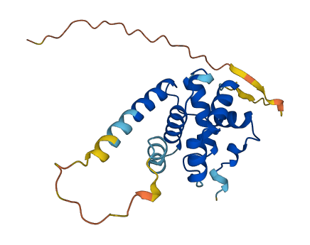 SPDYE7P 3D structure