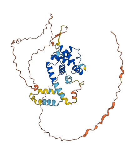SPDYE2 3D structure