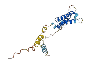 NRN1L 3D structure