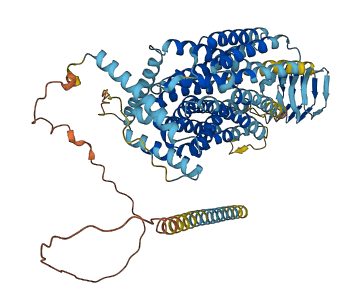 SV2C 3D structure