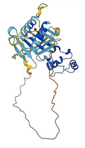PLK5 3D structure