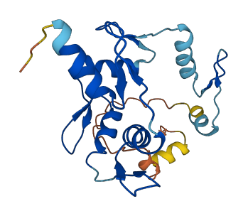 ZNF876P 3D structure