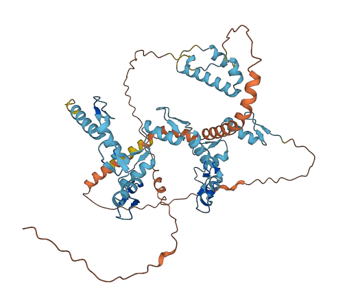 ZFP69 3D structure