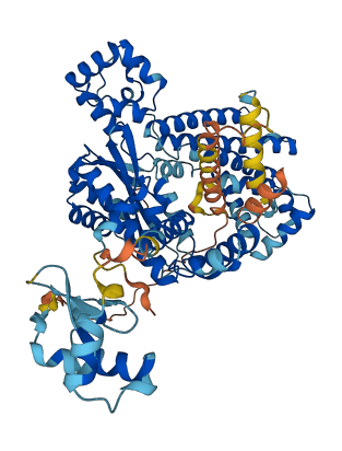 ZBED5 3D structure