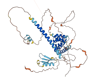 TTC31 3D structure