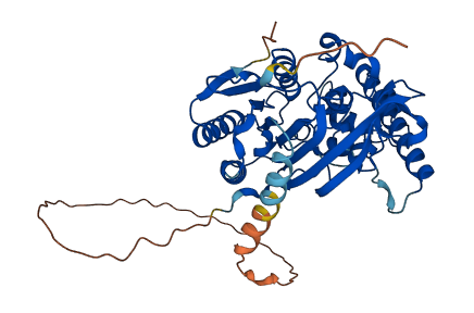C5orf22 3D structure