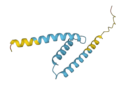 LRRC37A5P 3D structure