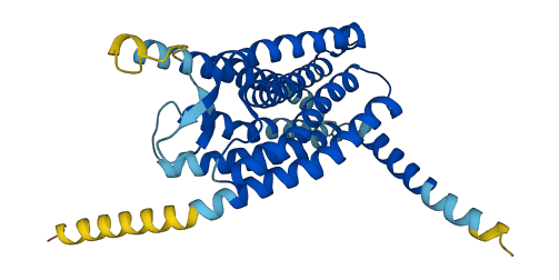 GPR33 3D structure