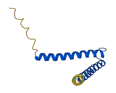 Timm8a2 3D structure