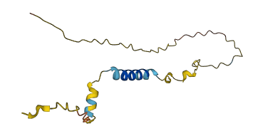 CCSMST1 3D structure