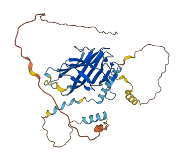 ERFE 3D structure