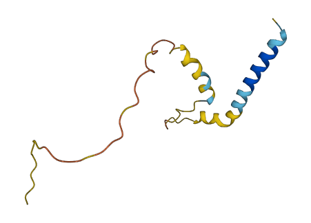 GGTA1P 3D structure