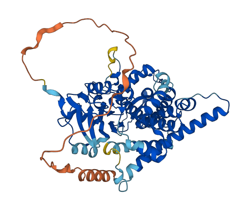 CYP27C1 3D structure