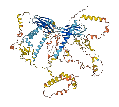 CFAP221 3D structure
