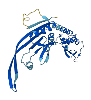 KCTD21 3D structure