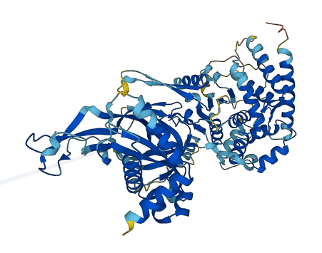 MCMDC2 3D structure