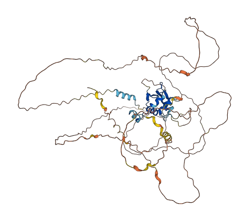 HSF5 3D structure