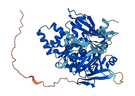 ACSF3 3D structure