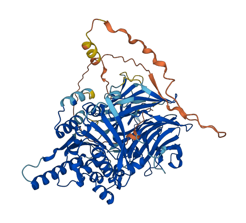 PREPL 3D structure
