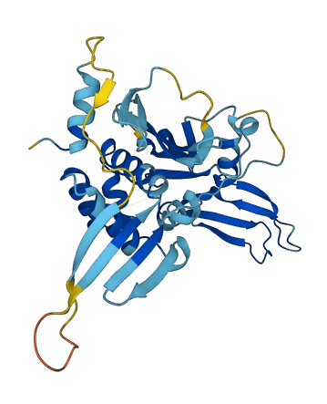Gm527 3D structure