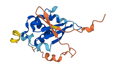 Khdc1c 3D structure