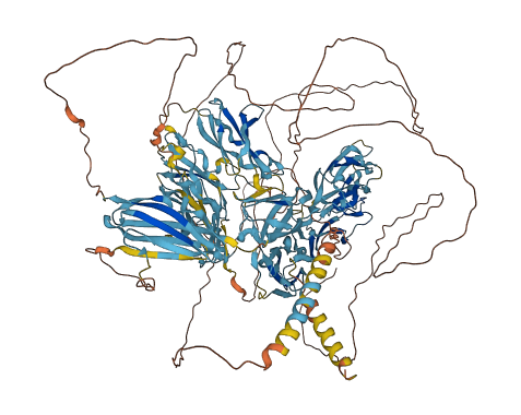 CDON 3D structure