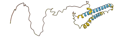 TMEM52B 3D structure