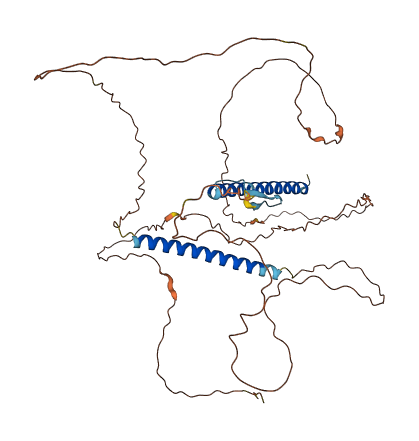 IQCC 3D structure