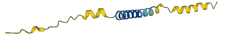 CTXN3 3D structure