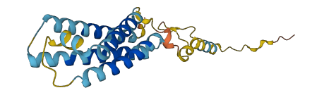 Trp53i11 3D structure