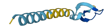 DEFB134 3D structure