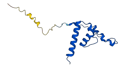 MRPL51 3D structure