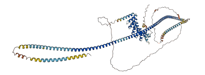 ANKRD20A4 3D structure