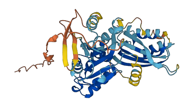 CBWD6 3D structure