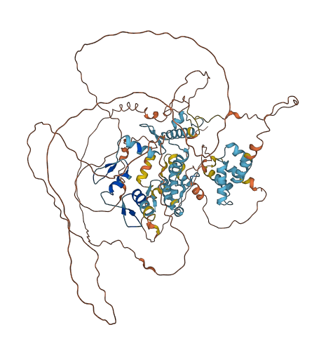 Nrif1 3D structure