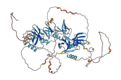 FLYWCH1 3D structure