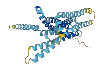 T2r38 3D structure