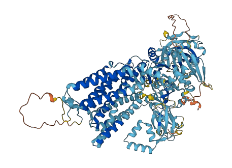 ATP13A4 3D structure