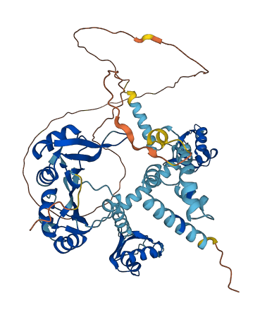 PABPC1L 3D structure