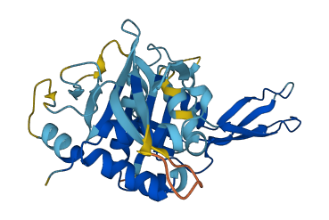 C14orf28 3D structure