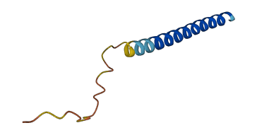 TMEM155 3D structure