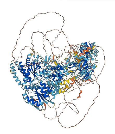 GREB1 3D structure