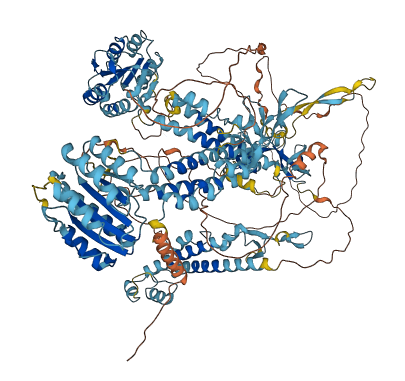 VWA3B 3D structure