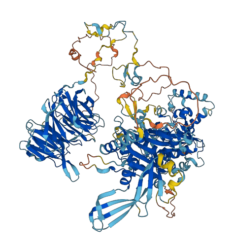PAN2 3D structure