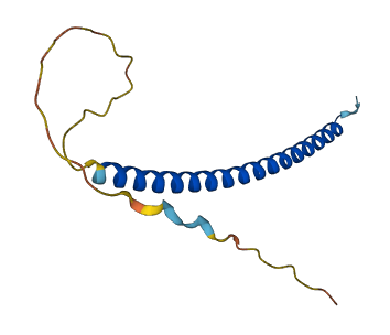 C4orf46 3D structure