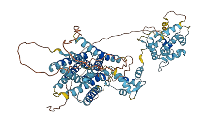 SLC39A12 3D structure